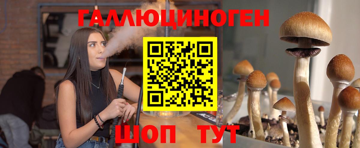 Галлюциногенные грибы мицелий  Вход с VPN  Егорьевск 